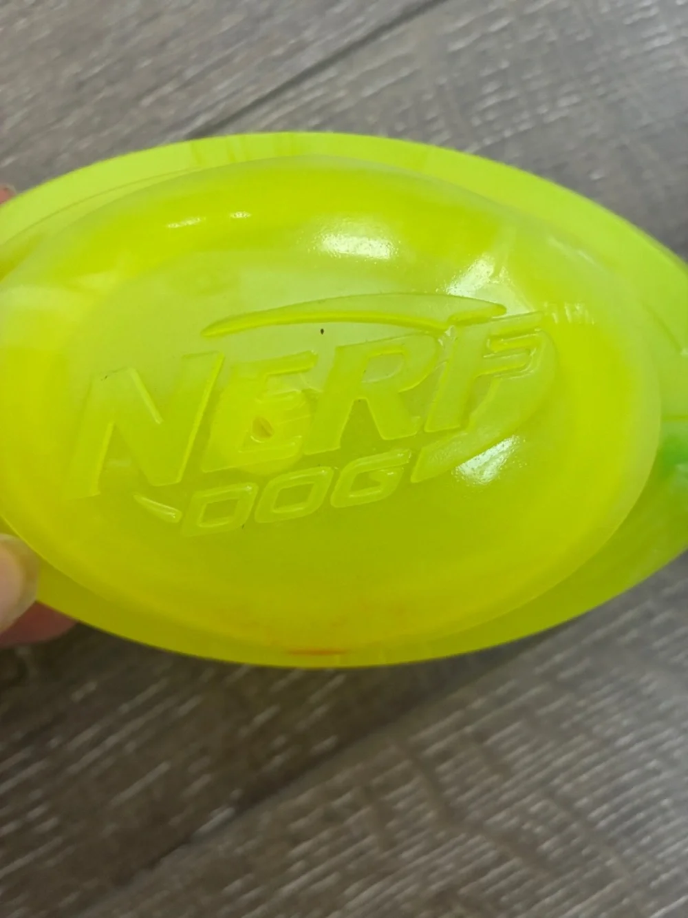 Nerf Squeak Vortex Interactive Dog Toy